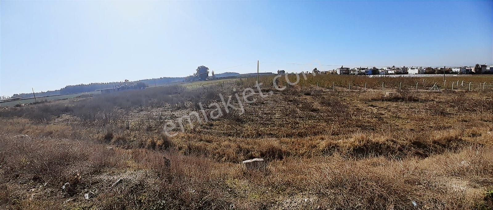 Tarsus D 400 Karayoluna Yakın Asfalt Cepeli Aci Satılık Tarla - Görsel 14