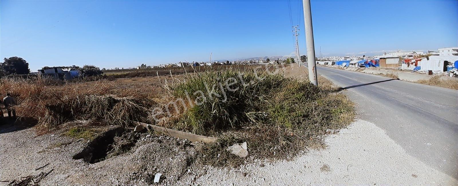 Tarsus D 400 Karayoluna Yakın Asfalt Cepeli Aci Satılık Tarla - Görsel 2