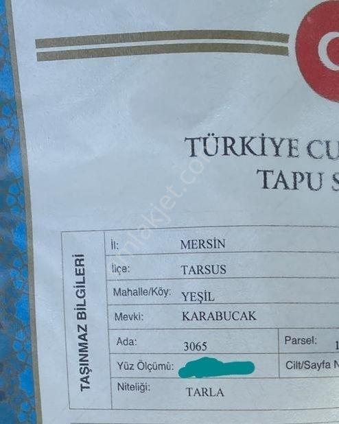 Tarsus D 400 Karayoluna Yakın Asfalt Cepeli Aci Satılık Tarla - Görsel 10