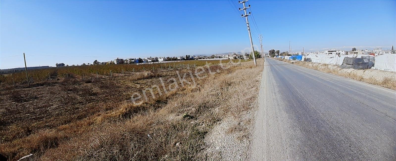 Tarsus D 400 Karayoluna Yakın Asfalt Cepeli Aci Satılık Tarla - Görsel 4