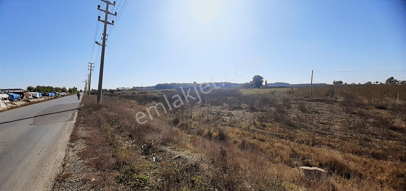 Tarsus D 400 Karayoluna Yakın Asfalt Cepeli Aci Satılık Tarla - Görsel 11