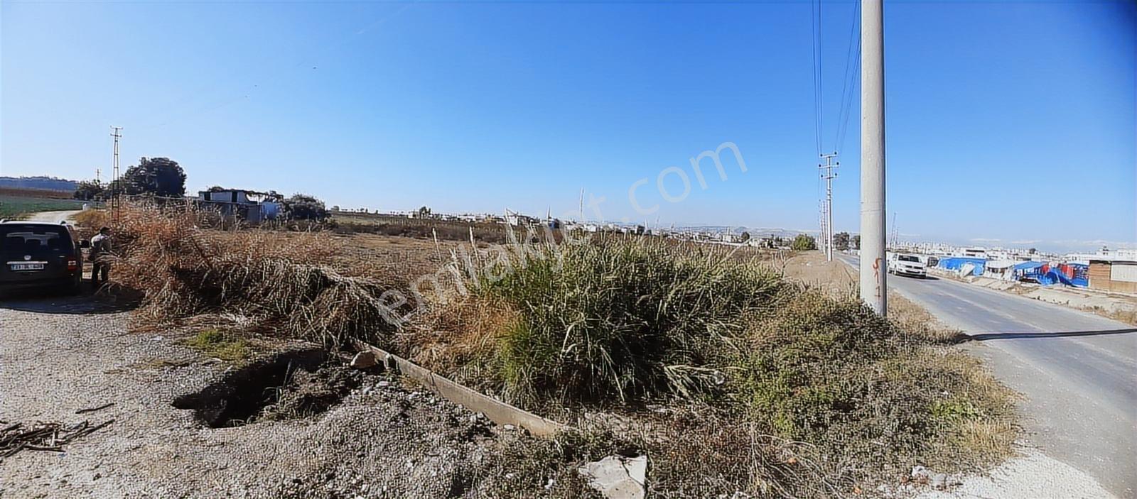 Tarsus D 400 Karayoluna Yakın Asfalt Cepeli Aci Satılık Tarla - Görsel 12