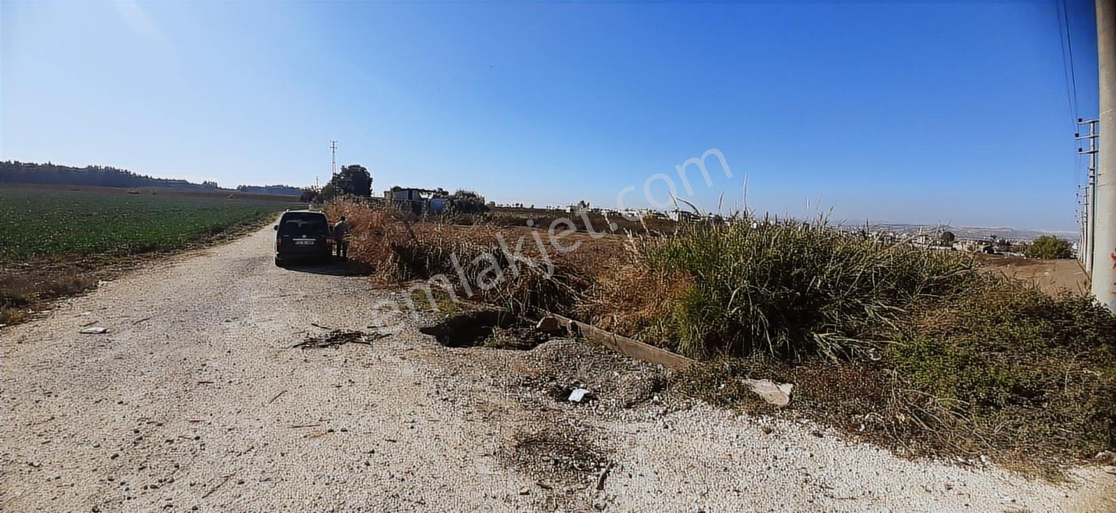 Tarsus D 400 Karayoluna Yakın Asfalt Cepeli Aci Satılık Tarla - Görsel 8