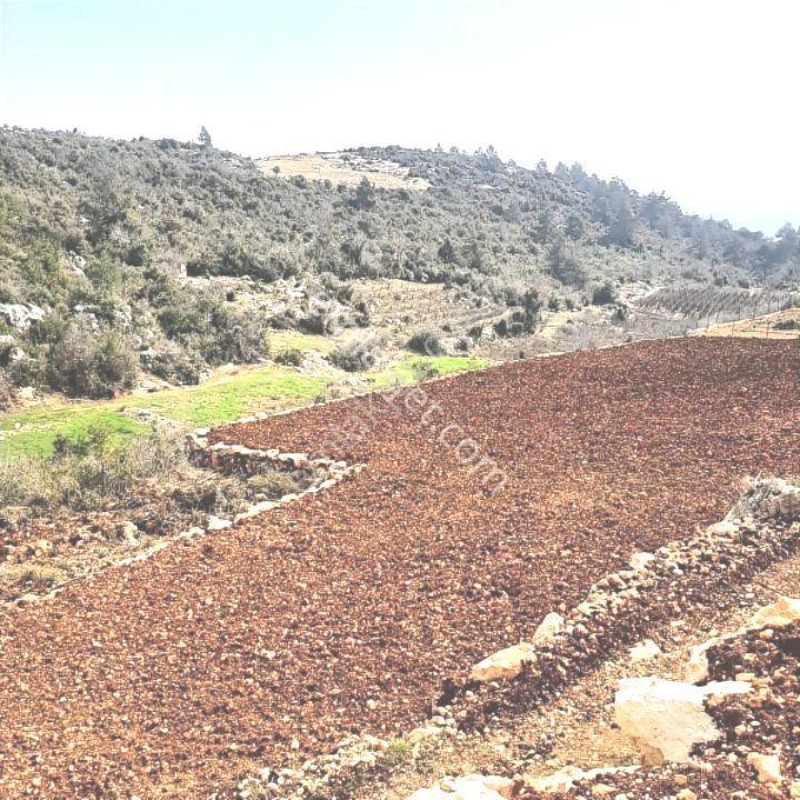 Erdemli Sıraç Tömekli De Satılık İmarlı Müstakil Köy İçi Arsa - Görsel 16