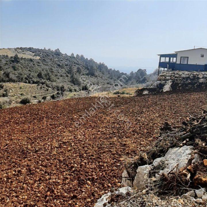 Erdemli Sıraç Tömekli De Satılık İmarlı Müstakil Köy İçi Arsa - Görsel 20