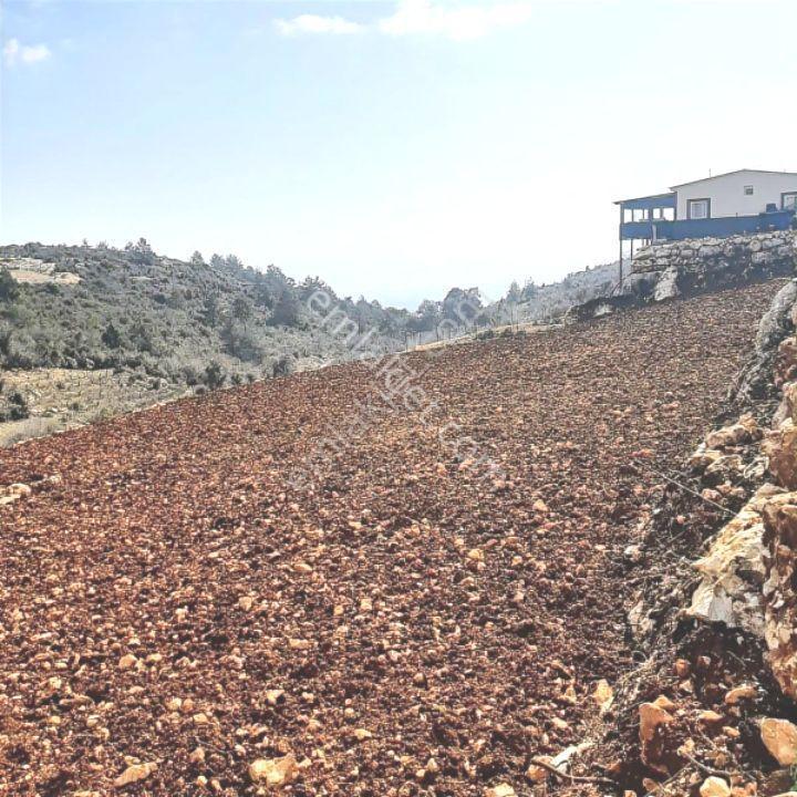 Erdemli Sıraç Tömekli De Satılık İmarlı Müstakil Köy İçi Arsa - Görsel 17