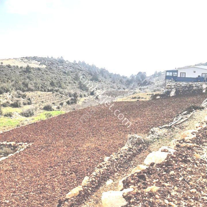 Erdemli Sıraç Tömekli De Satılık İmarlı Müstakil Köy İçi Arsa - Görsel 5