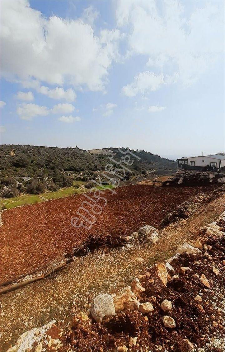 Erdemli Sıraç Tömekli De Satılık İmarlı Müstakil Köy İçi Arsa - Görsel 29