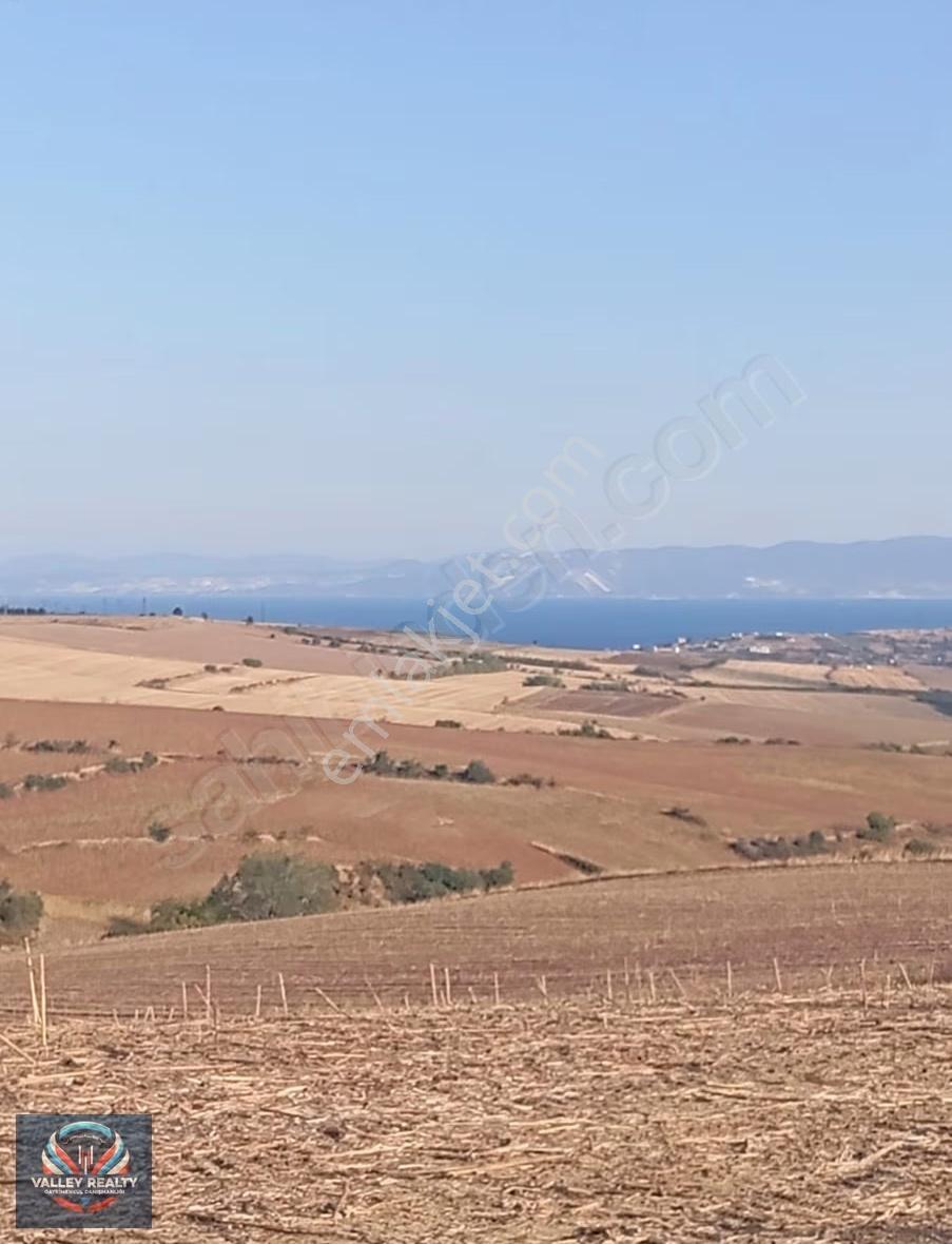 Valley'den Süleymanpaşa'da 1.373 M2 Hisseli Satılık Tarla!