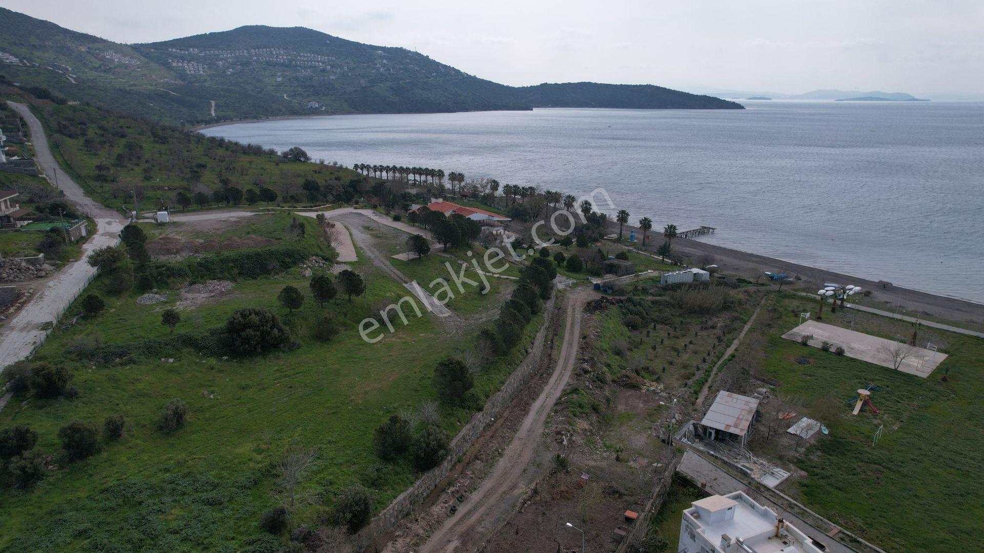 Çandarlı'da Denize 60m, 414m² Satılık Villa Arsası - Görsel 5
