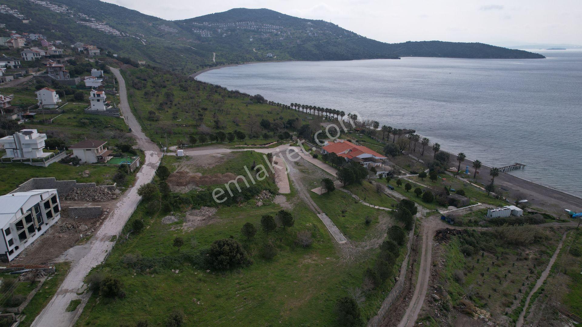 Çandarlı'da Denize 60m, 414m² Satılık Villa Arsası - Görsel 25