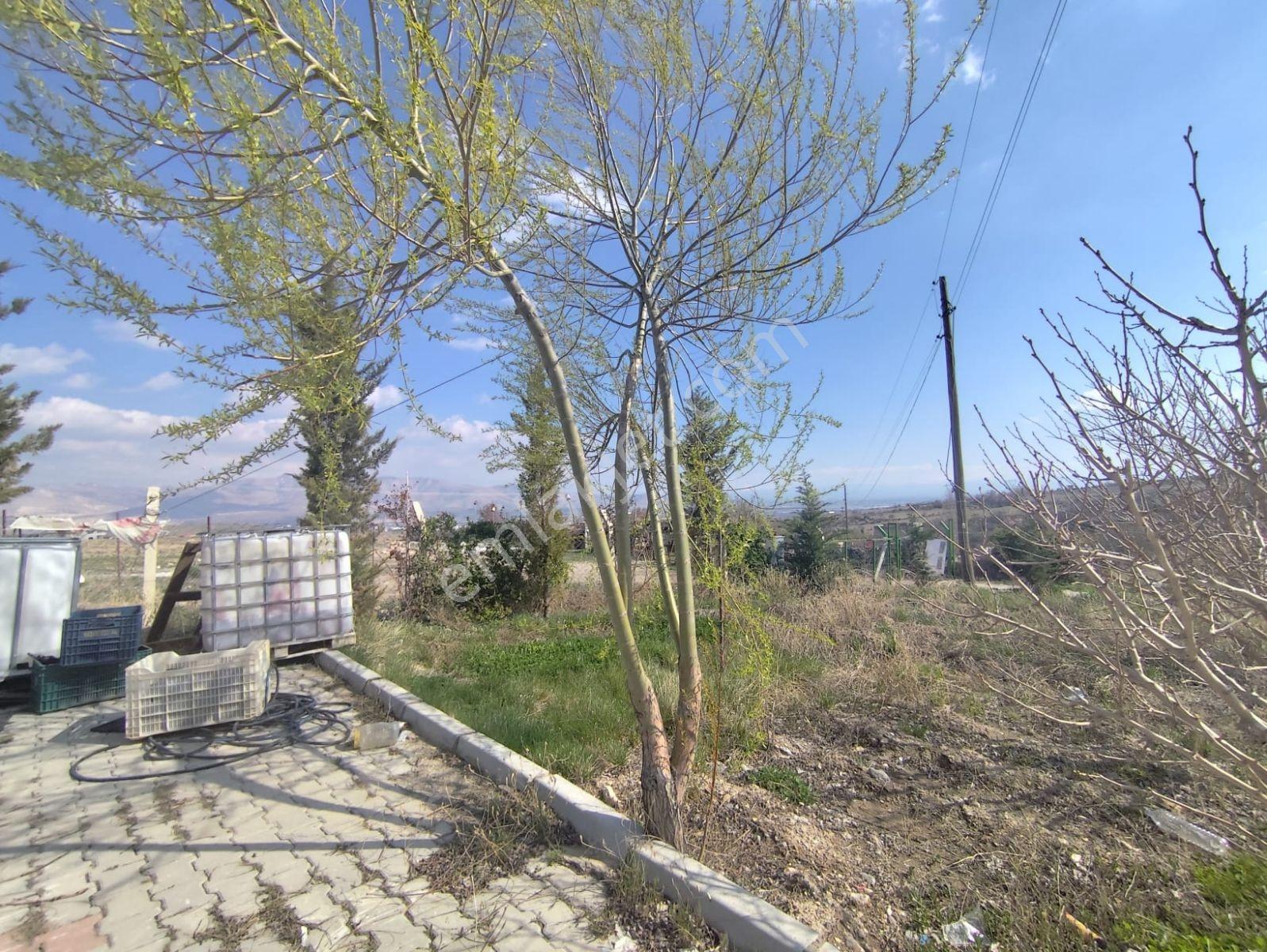 Niğde Hançerlide Hayat Var! 4.680 M² Cennetten Bir Köşe - Görsel 9