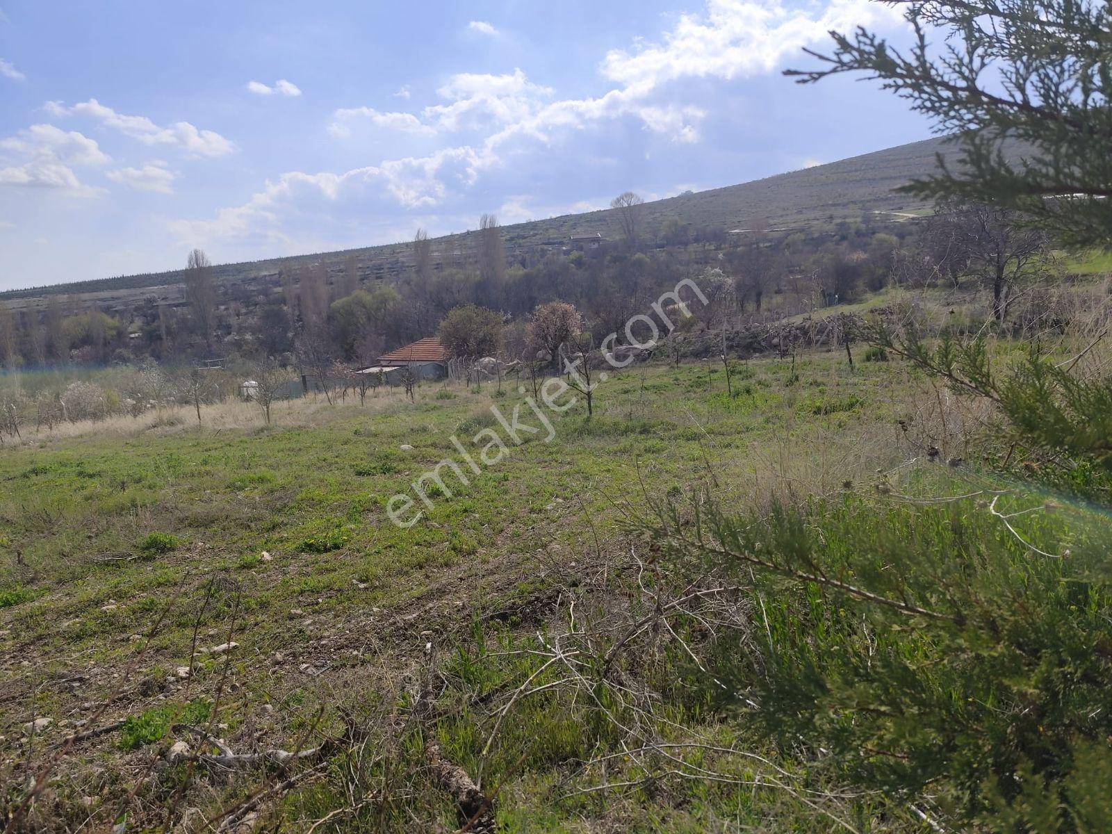 Niğde Hançerlide Hayat Var! 4.680 M² Cennetten Bir Köşe - Görsel 3