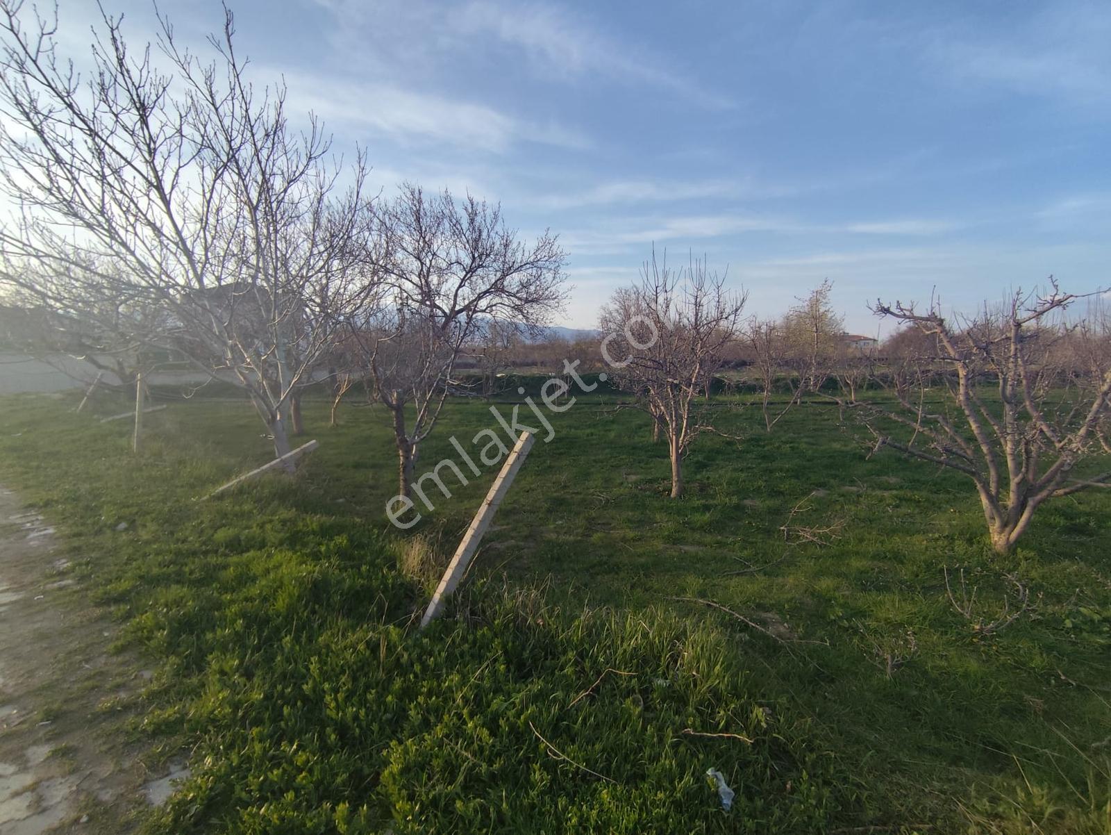 Cm Emlak Sazlıca Bim Market Arkası Caddeye Sıfır 700 M2 Arsa - Görsel 11