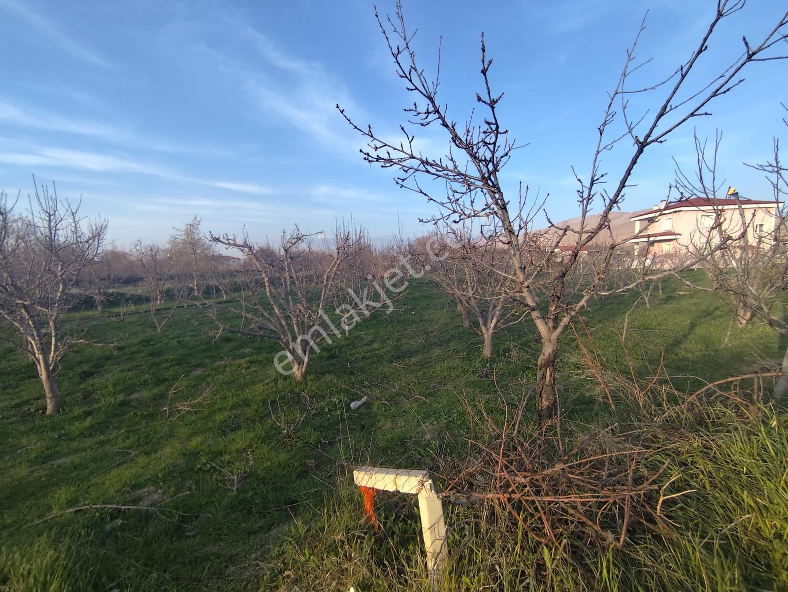 Cm Emlak Sazlıca Bim Market Arkası Caddeye Sıfır 700 M2 Arsa - Görsel 4