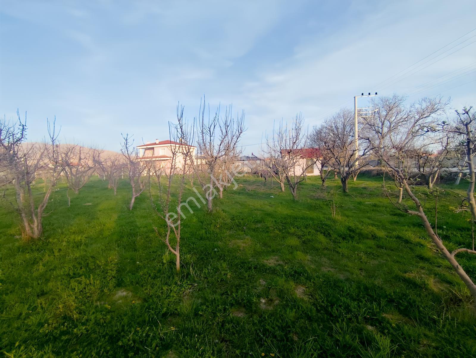 Cm Emlak Sazlıca Bim Market Arkası Caddeye Sıfır 700 M2 Arsa - Görsel 13