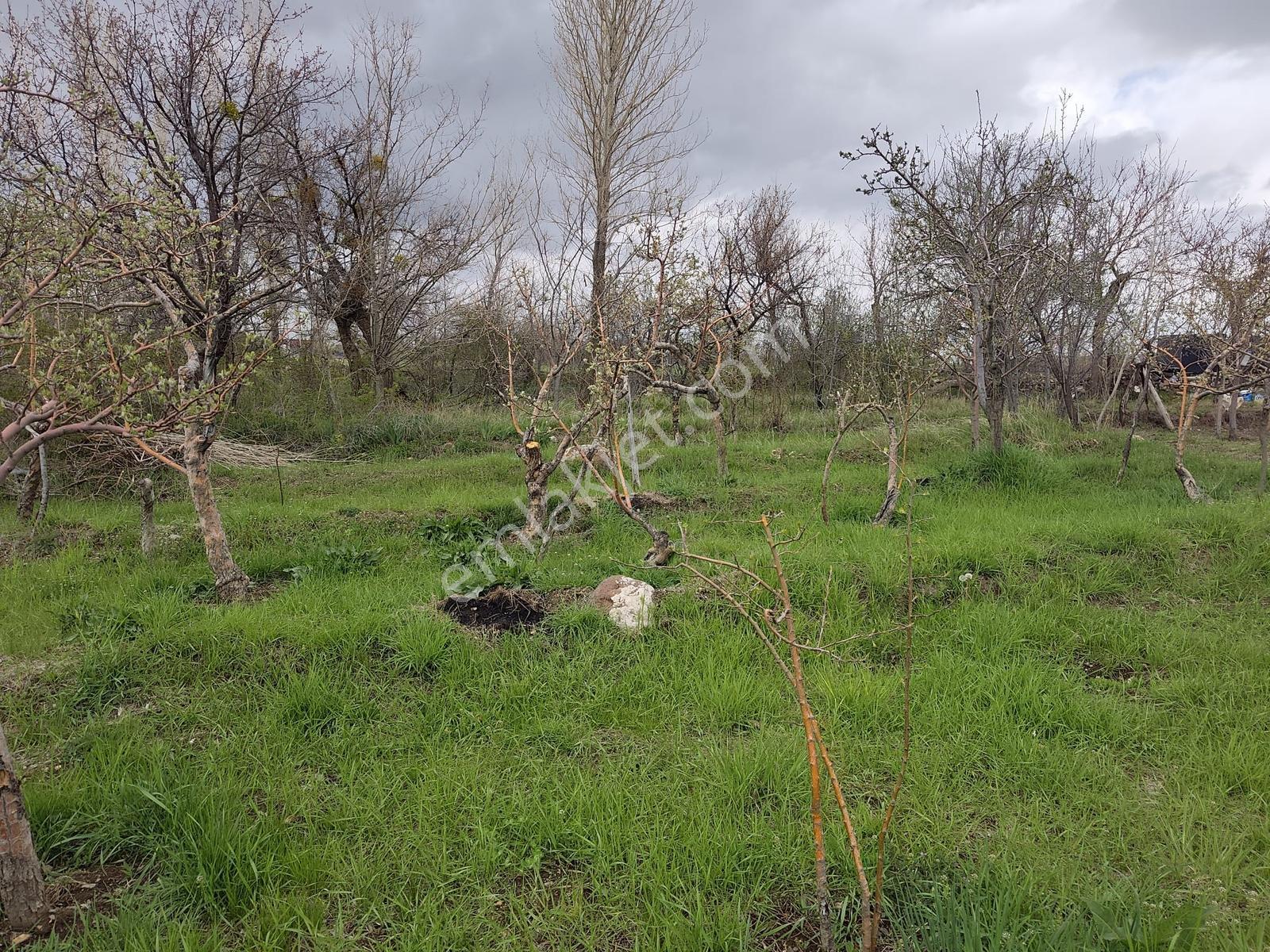 Güllüce Köyünde Harika Konumda 1673 M2 Satılık Bahçe,cm Emlaktan - Görsel 4