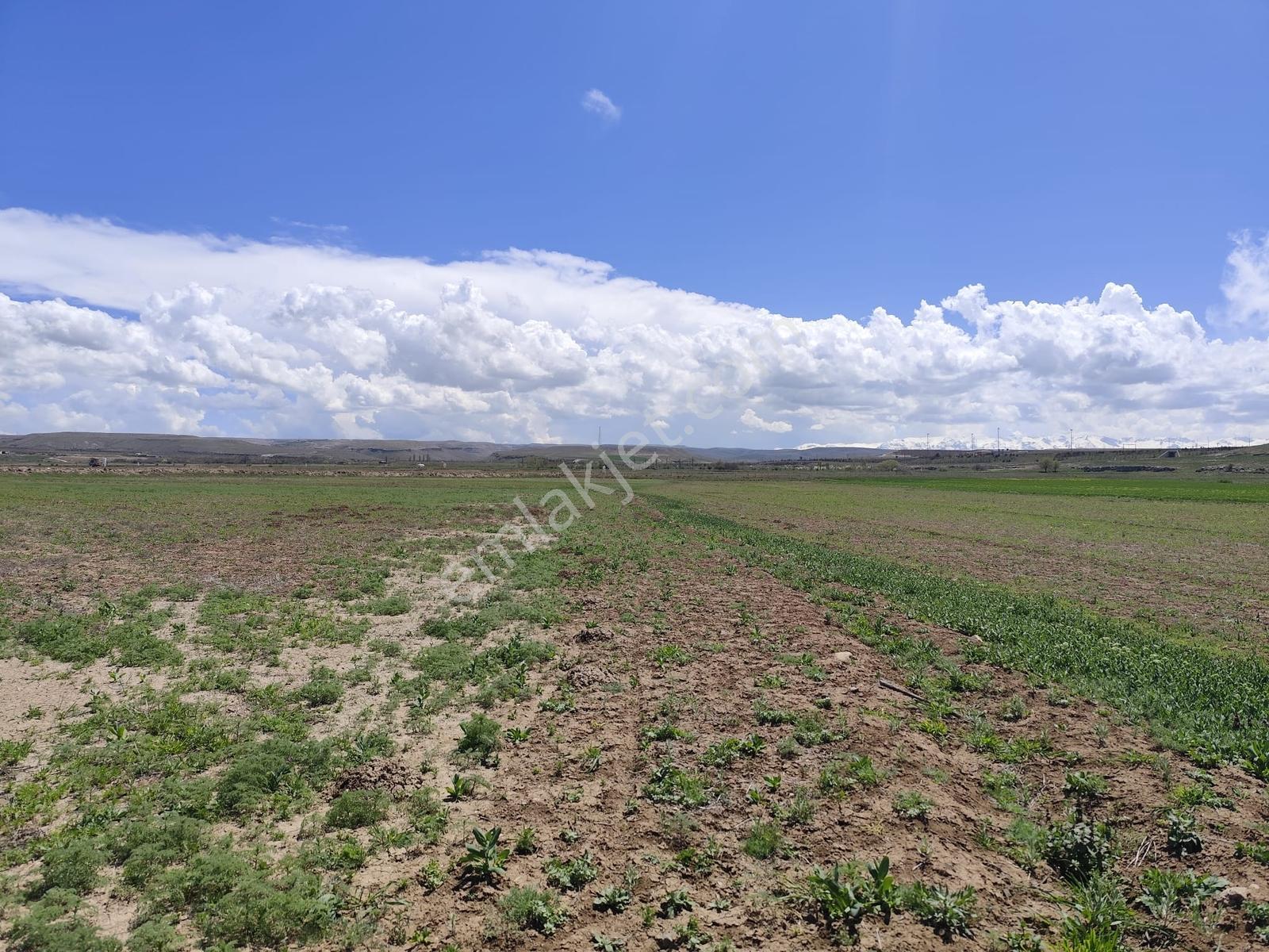 Cm Emlak Havuzluda 14500 M2 Kadastro Yolu Var - Görsel 3