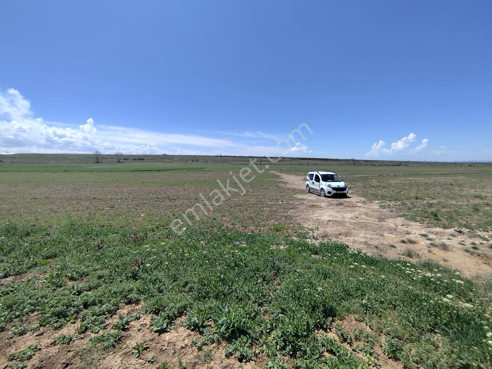 Cm Emlak Havuzluda 14500 M2 Kadastro Yolu Var - Görsel 4