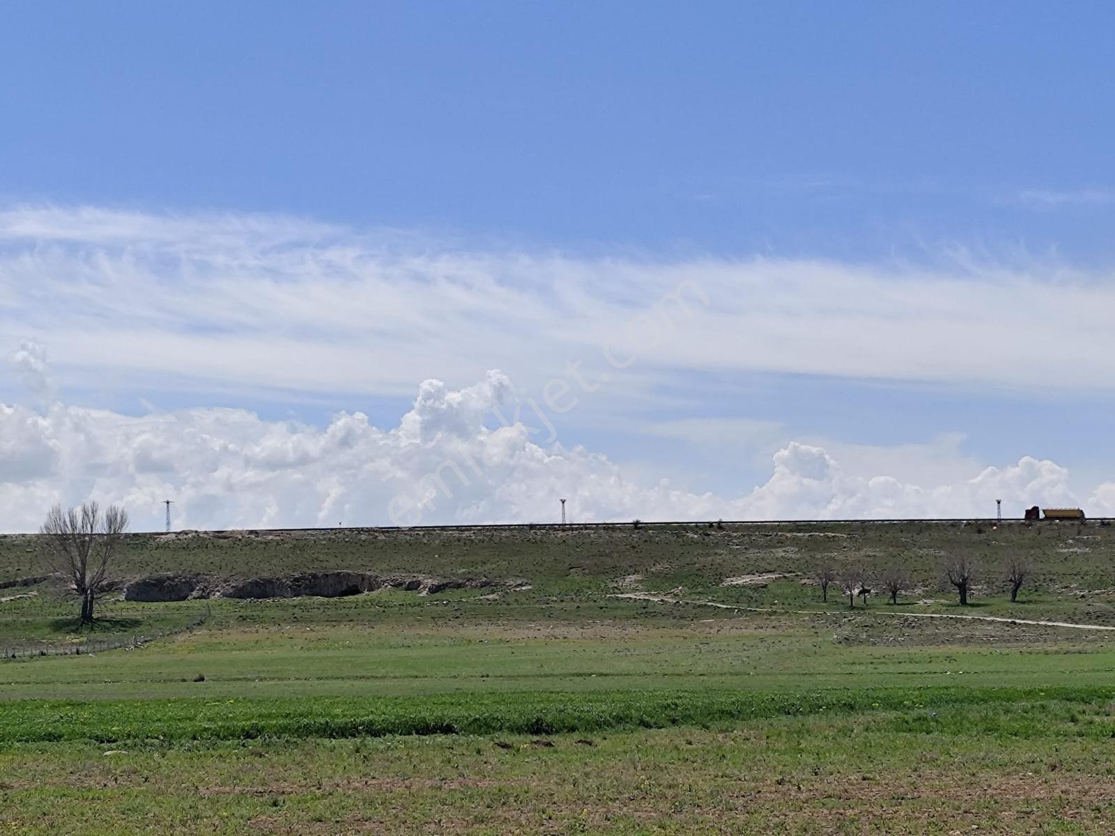 Cm Emlak Havuzluda 14500 M2 Kadastro Yolu Var - Görsel 5
