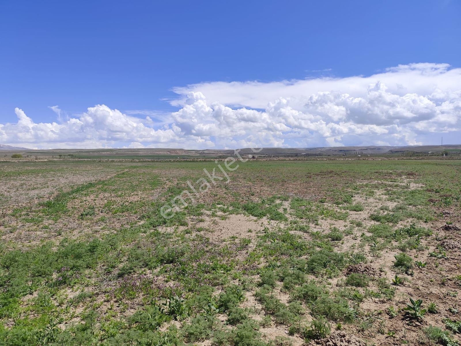 Cm Emlak Havuzluda 14500 M2 Kadastro Yolu Var - Görsel 11