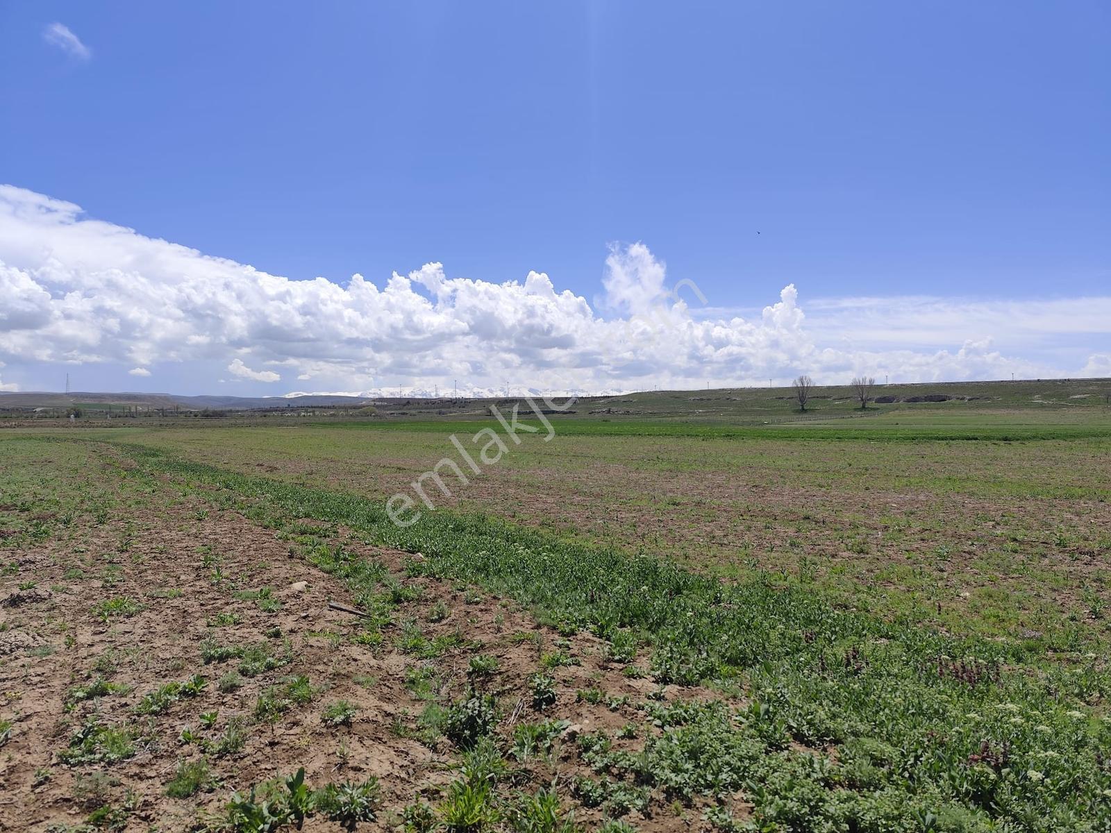 Cm Emlak Havuzluda 14500 M2 Kadastro Yolu Var - Görsel 7
