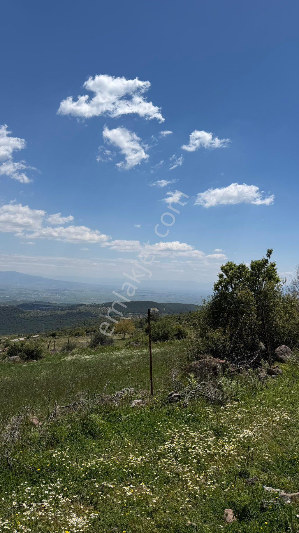 Manisa Şehzadeler Gökbel Mh Fırsat 2.500 M2 Tarla - Görsel 11