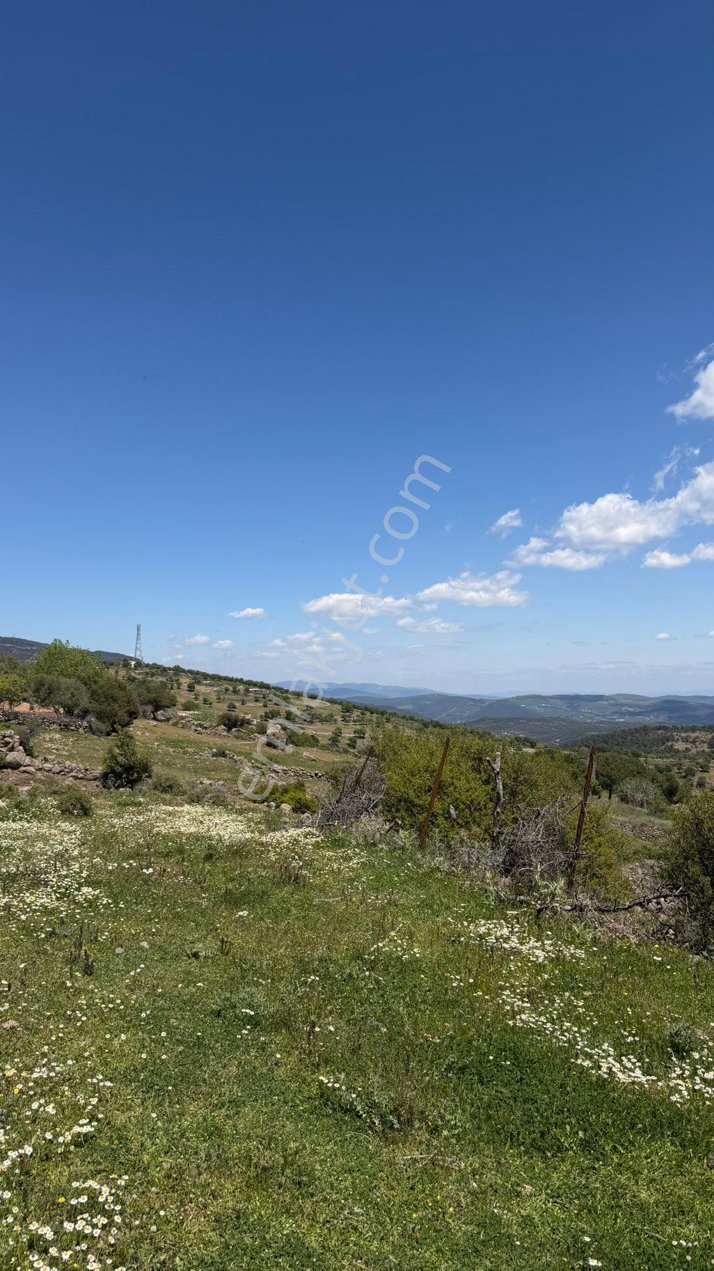 Manisa Şehzadeler Gökbel Mh Fırsat 2.500 M2 Tarla - Görsel 8