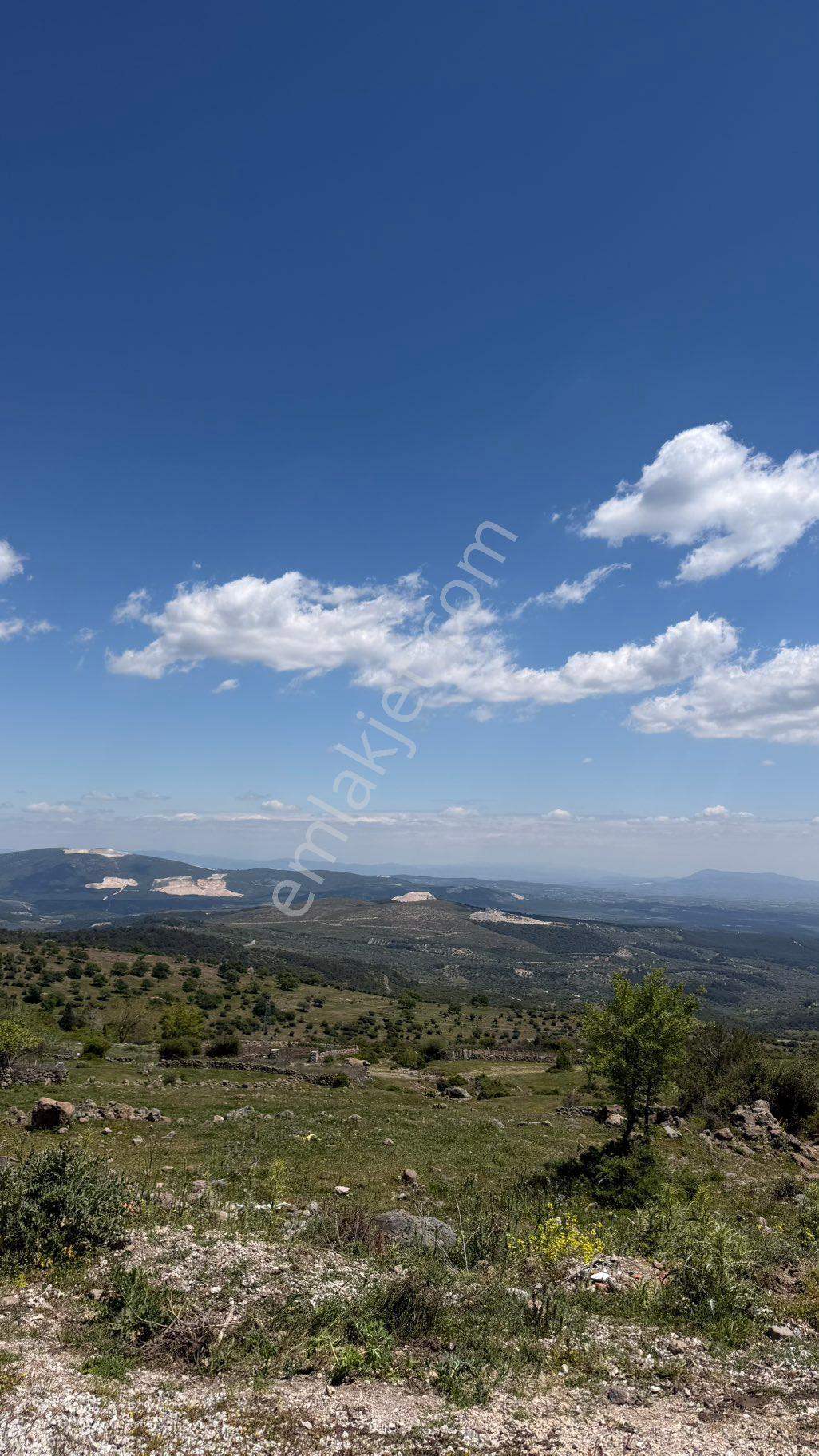 Manisa Şehzadeler Gökbel Mh Fırsat 2.500 M2 Tarla - Görsel 16