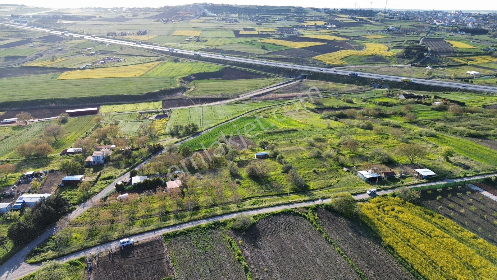Fenerköyde 290 Metre Elektrik Su Mevcut Elmas Değerinde , Arsa - Görsel 4