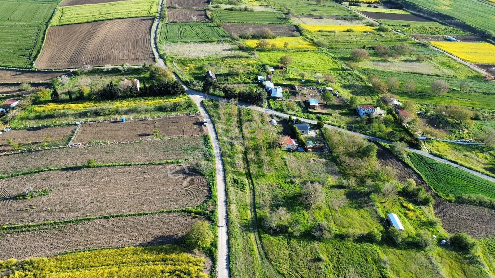 Fenerköyde 290 Metre Elektrik Su Mevcut Elmas Değerinde , Arsa - Görsel 29