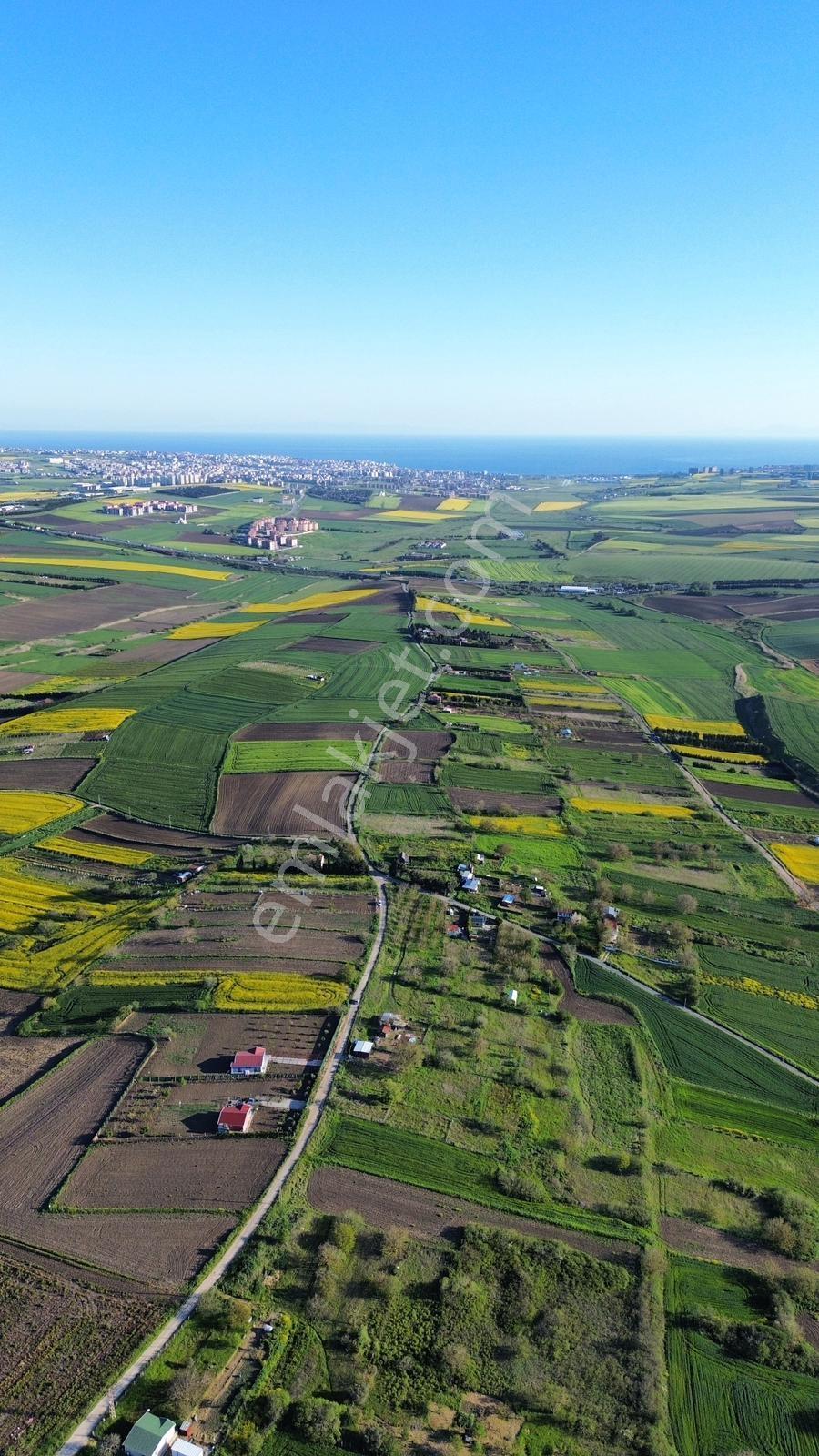 Fenerköyde 290 Metre Elektrik Su Mevcut Elmas Değerinde , Arsa - Görsel 23