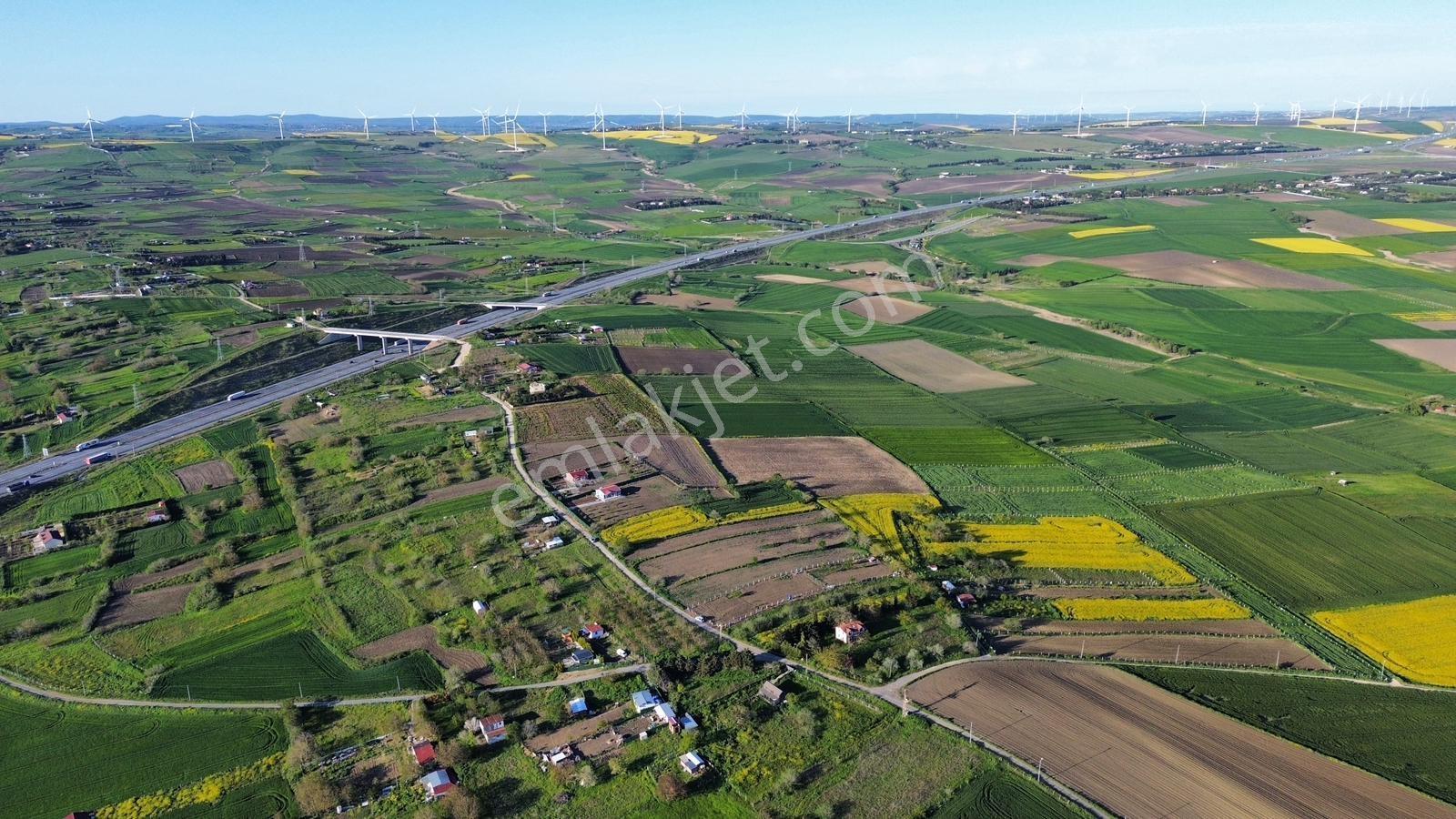 Fenerköyde 290 Metre Elektrik Su Mevcut Elmas Değerinde , Arsa - Görsel 5