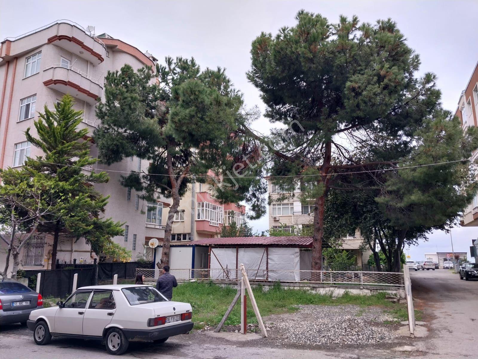 Yıldız Gayrimenkul'den Denizevleri Sahili'nde Ara Kat Geniş Asansörlü 3+1 - Görsel 18