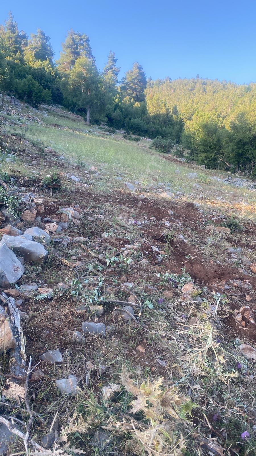 Asya 'dan Toroslar Kurudere Araç Takaslı Parsel - Görsel 14