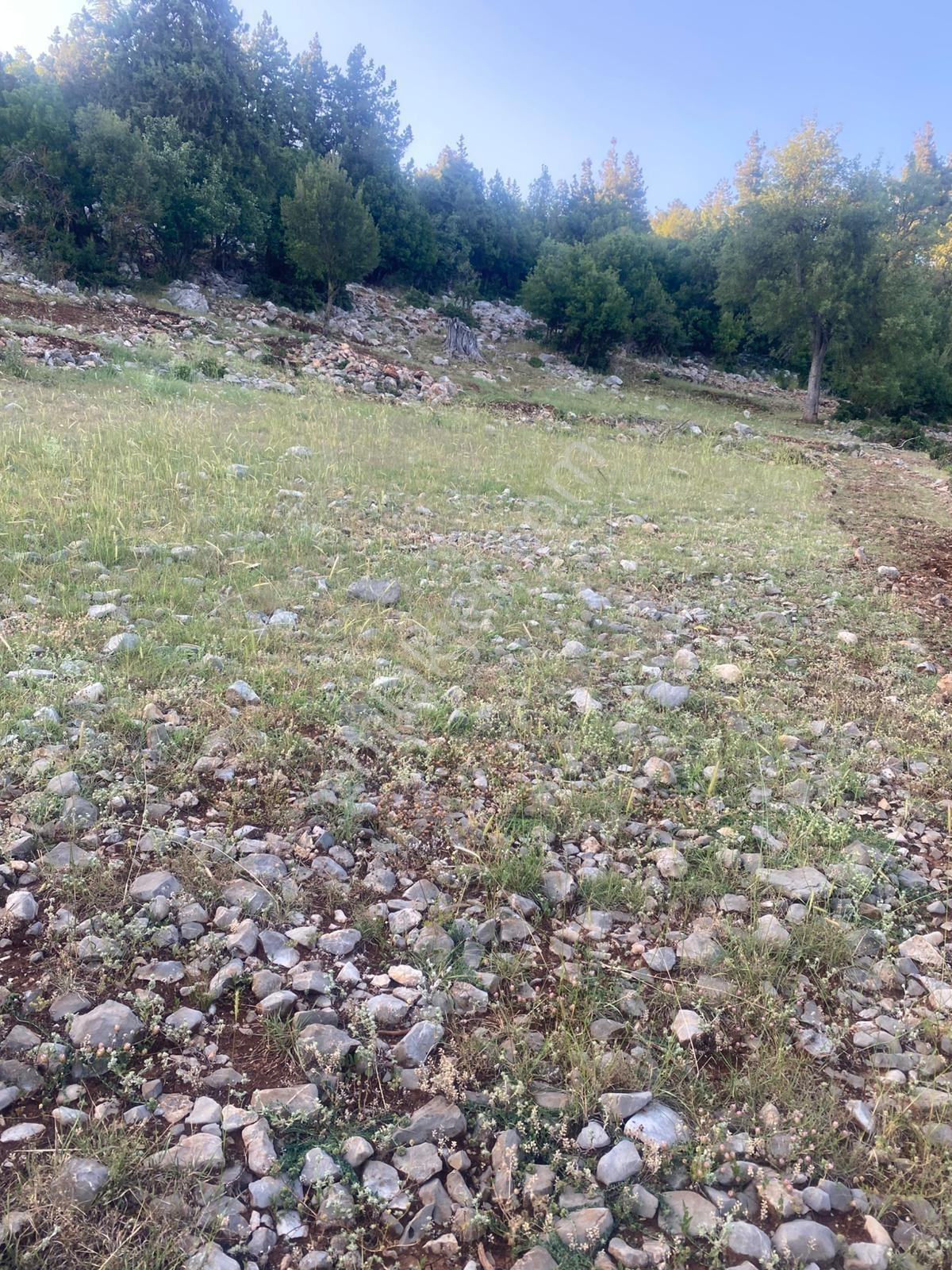 Asya 'dan Toroslar Kurudere Araç Takaslı Parsel - Görsel 3