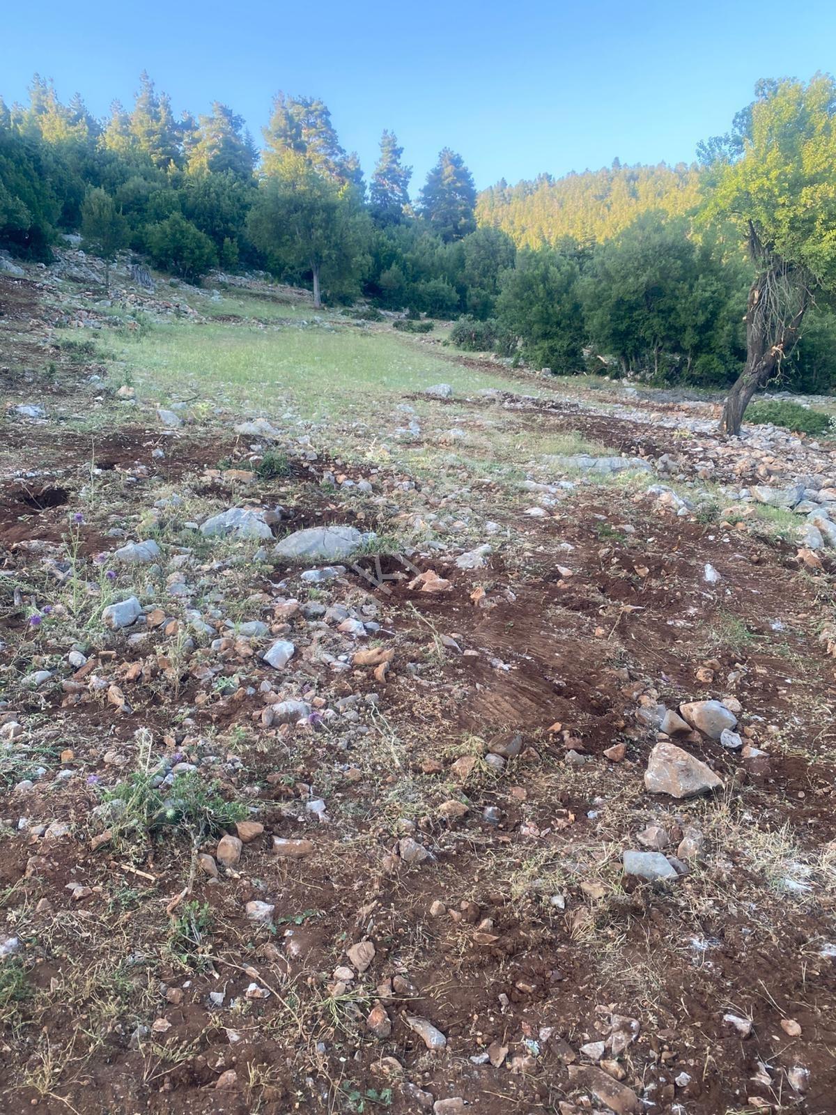 Asya 'dan Toroslar Kurudere Araç Takaslı Parsel - Görsel 8