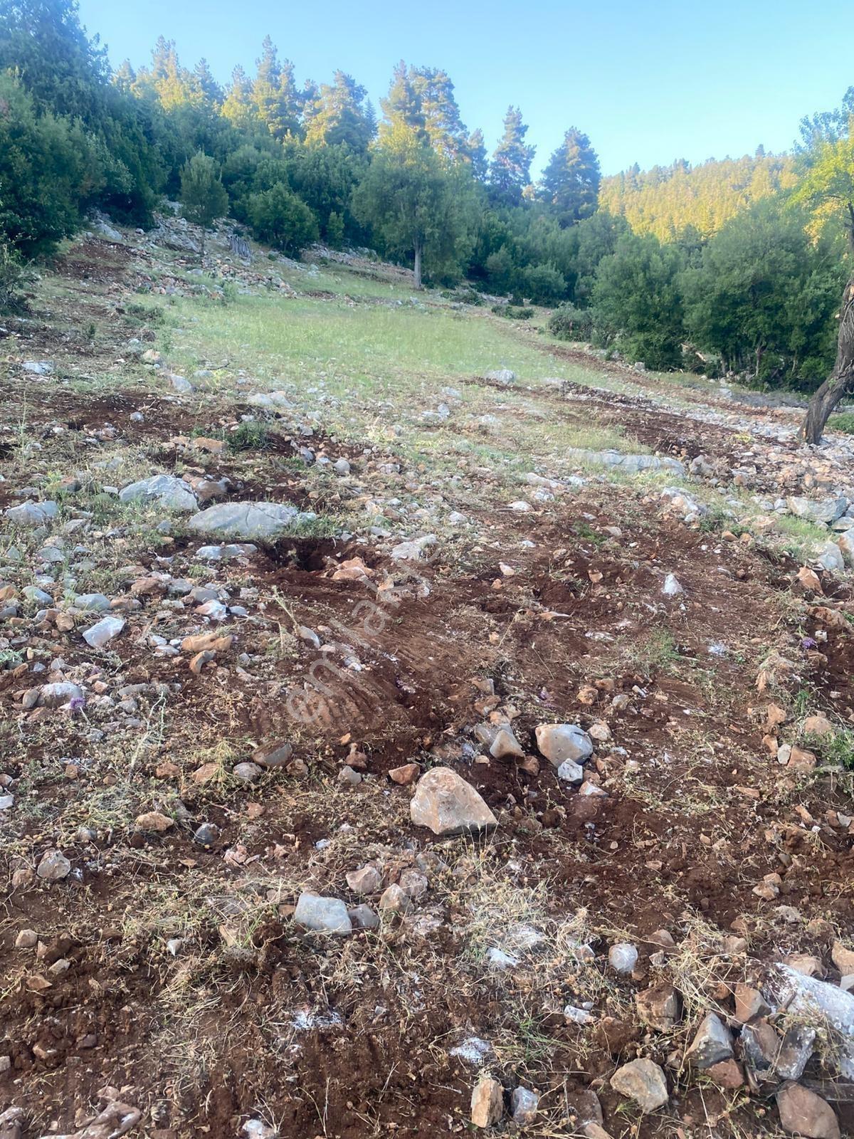 Asya 'dan Toroslar Kurudere Araç Takaslı Parsel - Görsel 13