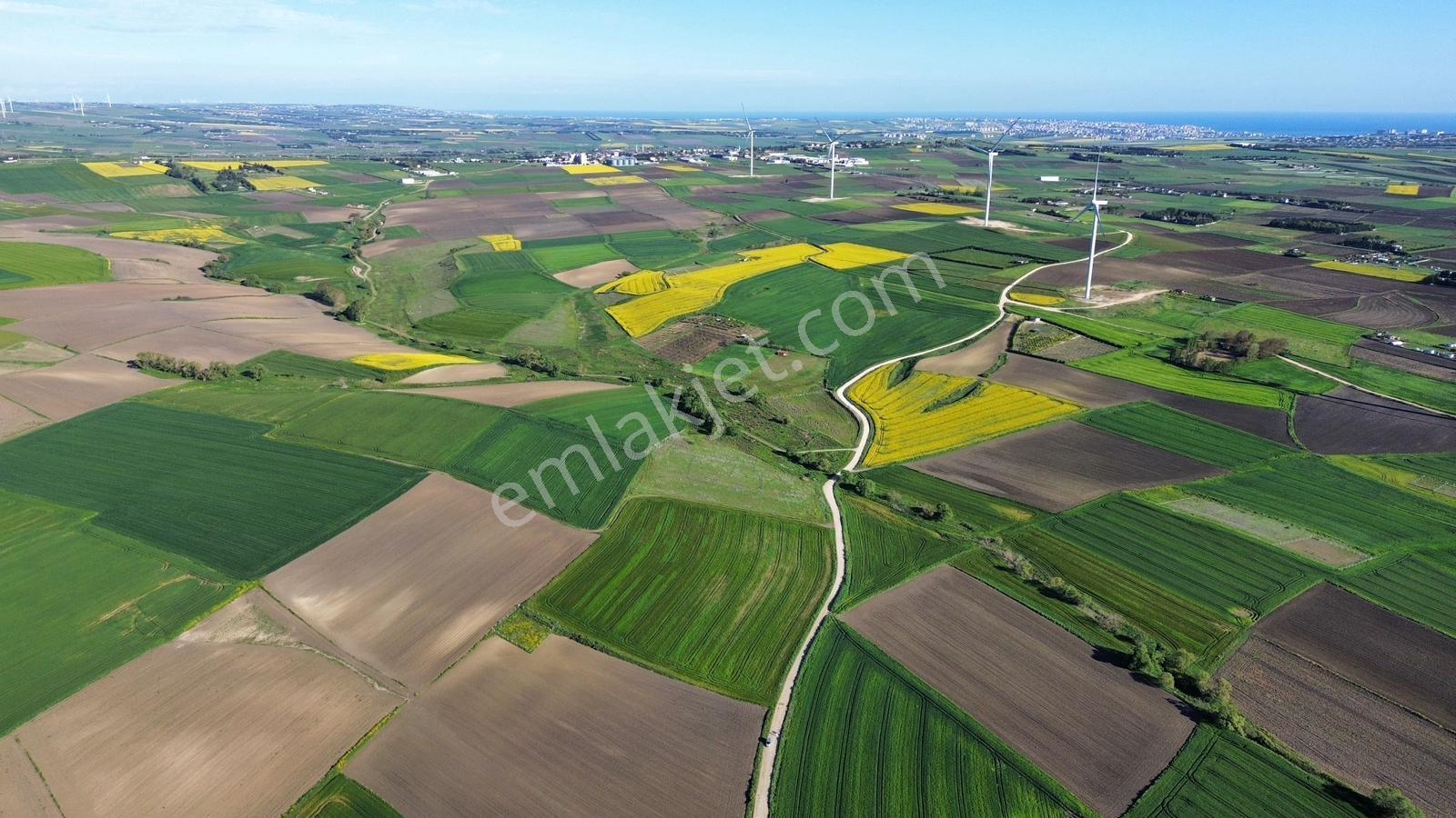 Fenerköyde 568 Metre Etrafı Çevrili Hissemiz Satışta - Görsel 26