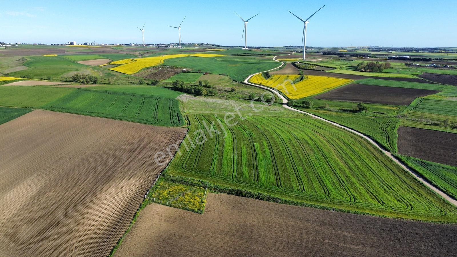 Fenerköyde 568 Metre Etrafı Çevrili Hissemiz Satışta - Görsel 29