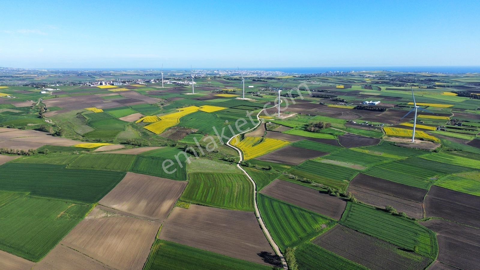 Fenerköyde 568 Metre Etrafı Çevrili Hissemiz Satışta - Görsel 17