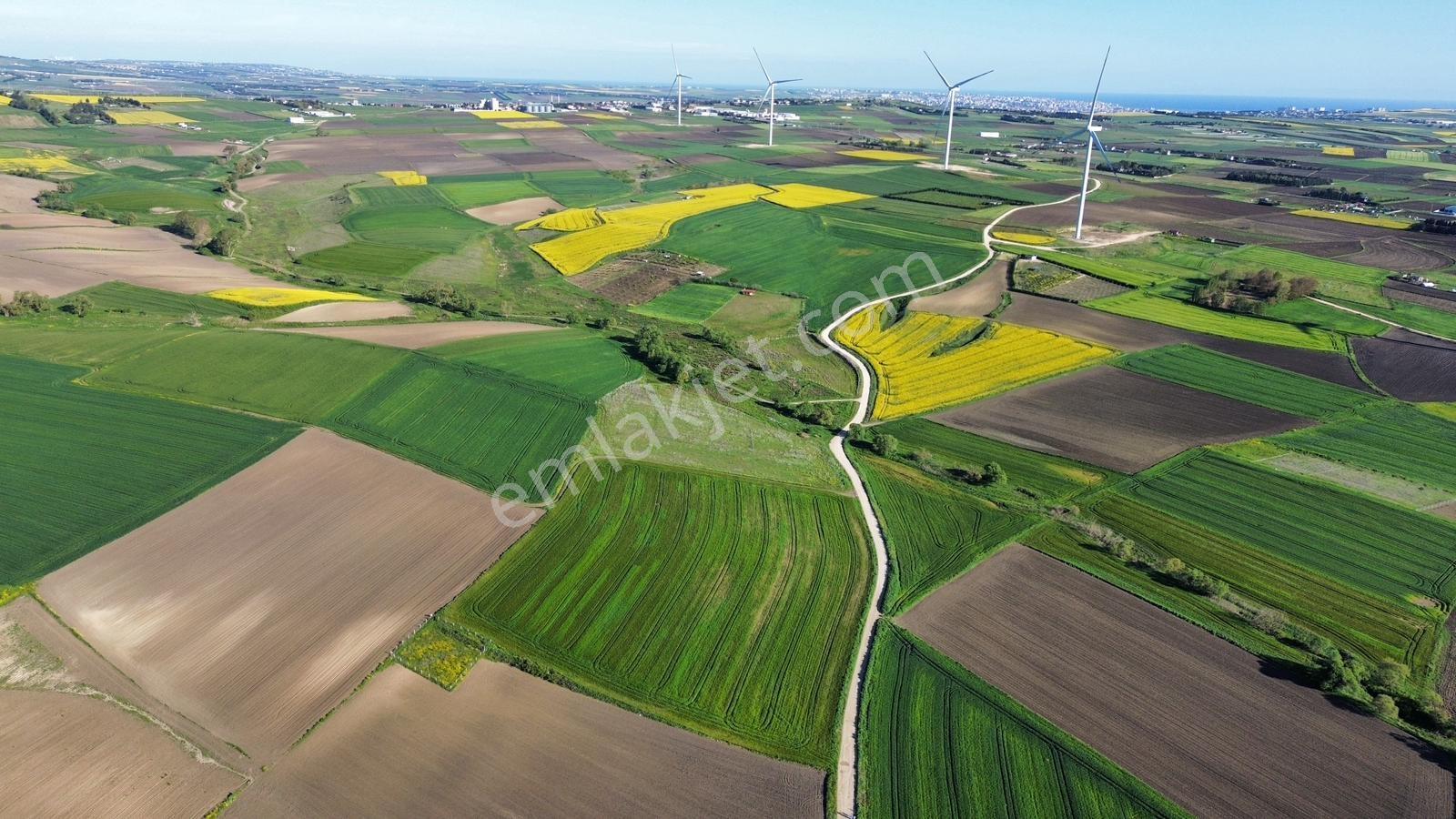 Fenerköyde 568 Metre Etrafı Çevrili Hissemiz Satışta - Görsel 14
