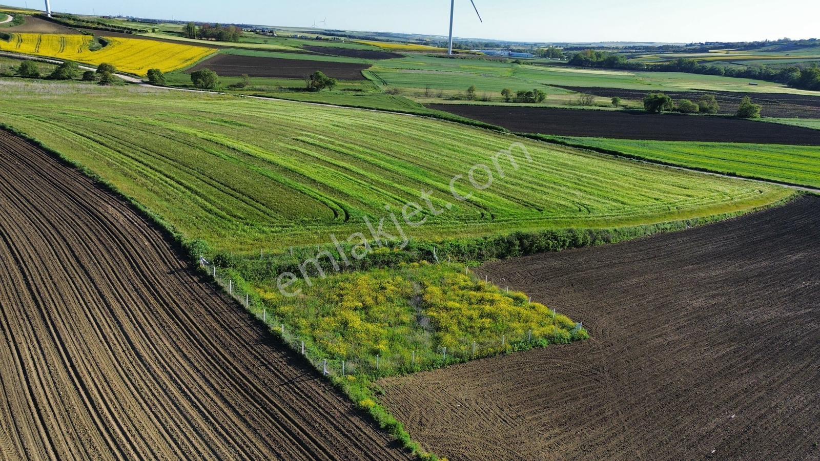 Fenerköyde 568 Metre Etrafı Çevrili Hissemiz Satışta - Görsel 21