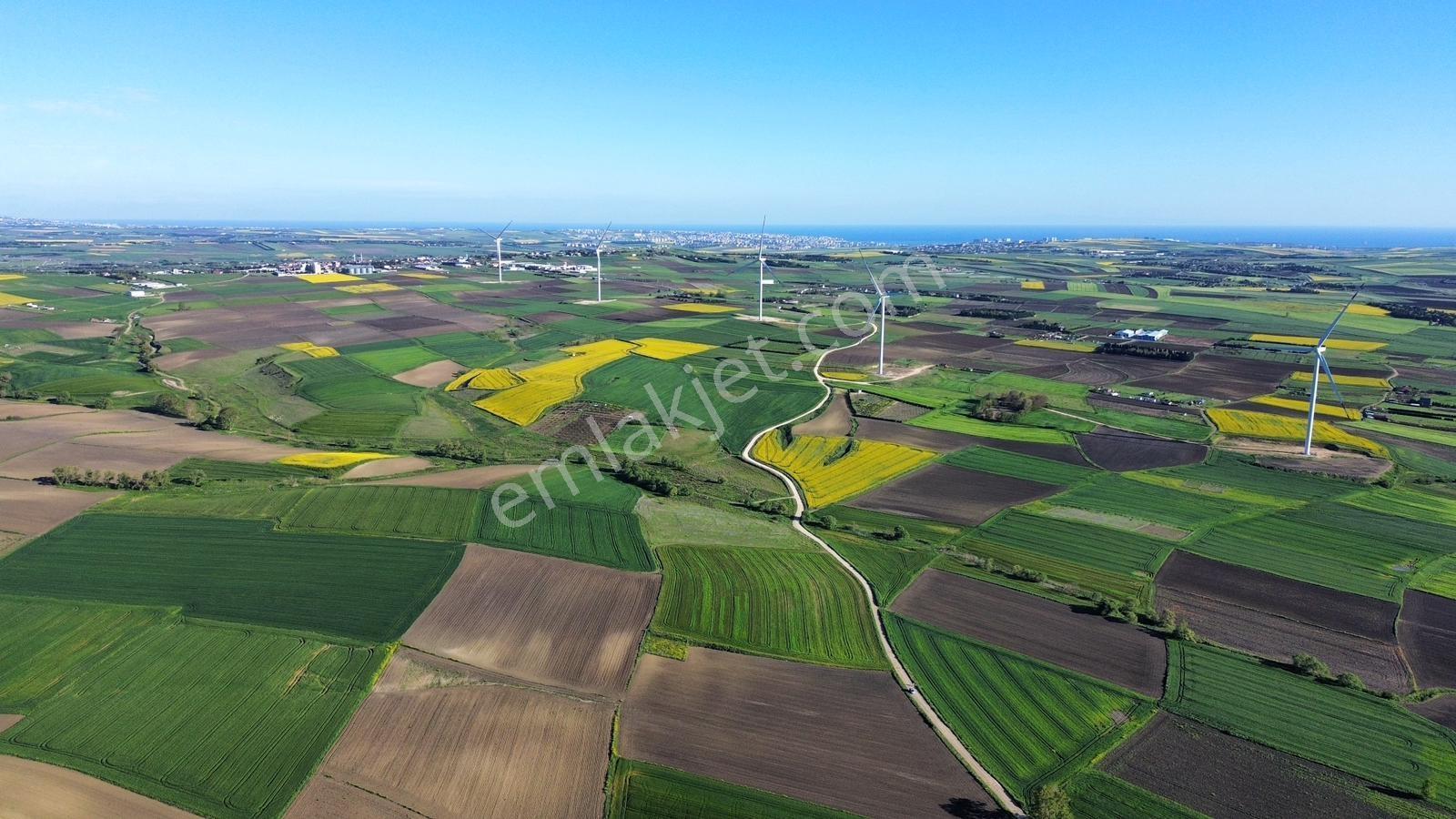 Fenerköyde 568 Metre Etrafı Çevrili Hissemiz Satışta - Görsel 7