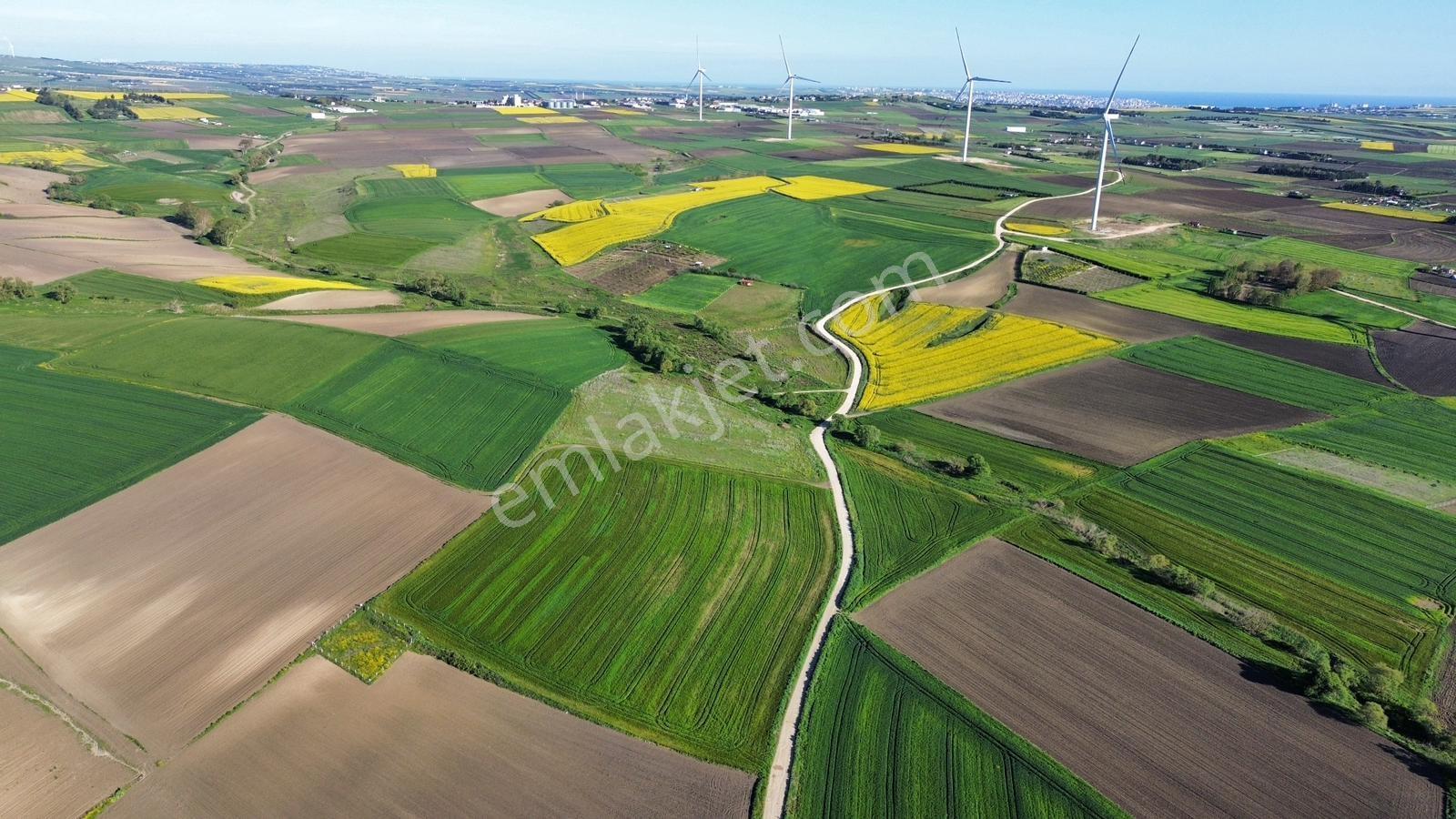 Fenerköyde 568 Metre Etrafı Çevrili Hissemiz Satışta - Görsel 2