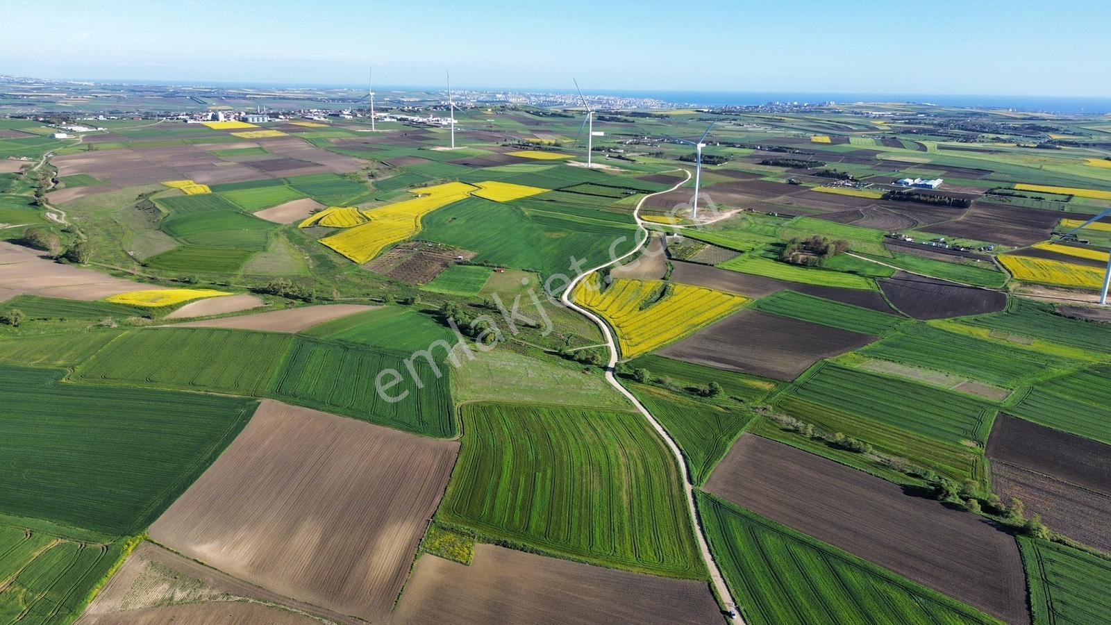 Fenerköyde 568 Metre Etrafı Çevrili Hissemiz Satışta - Görsel 16