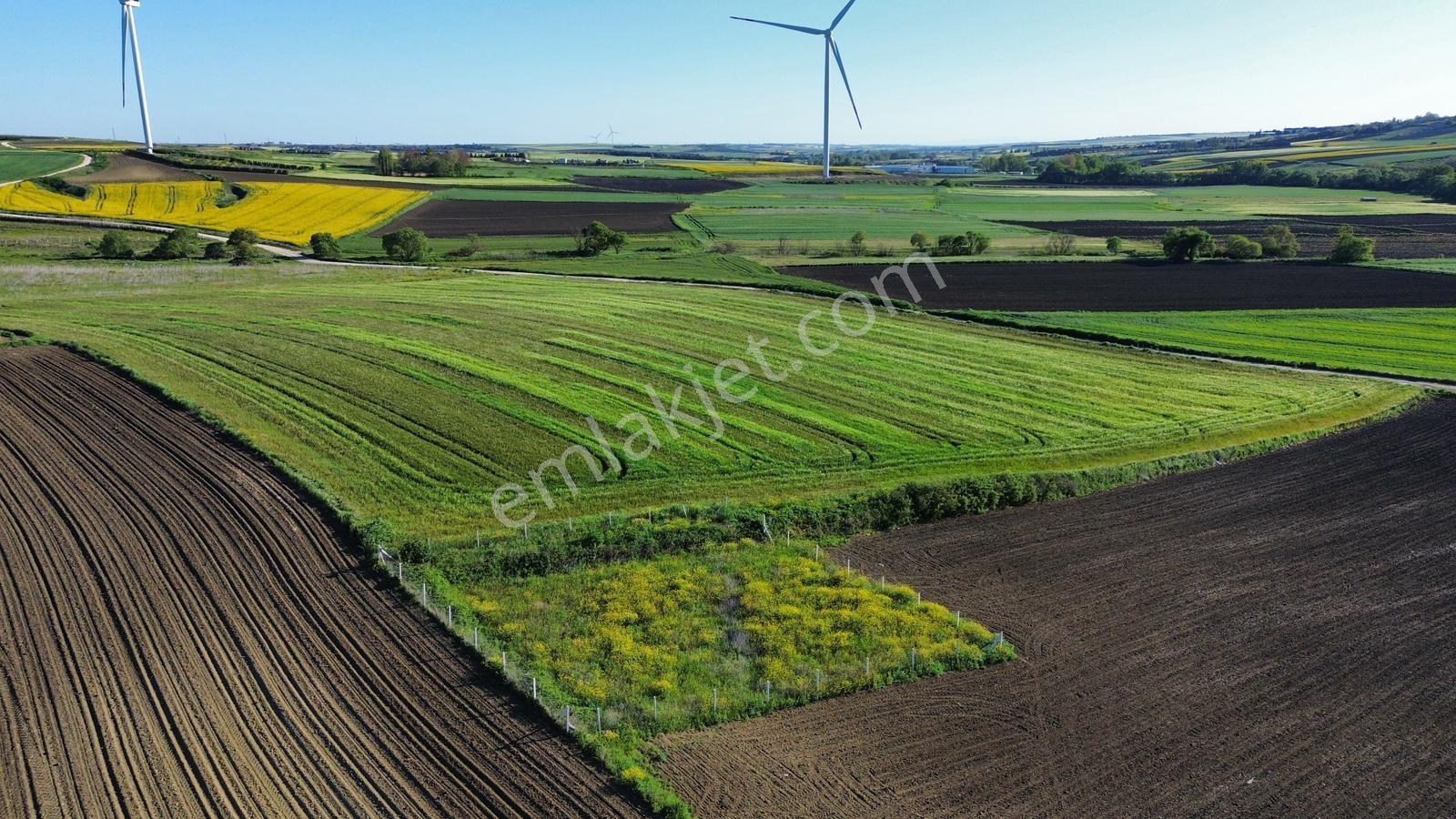 Fenerköyde 568 Metre Etrafı Çevrili Hissemiz Satışta - Görsel 12
