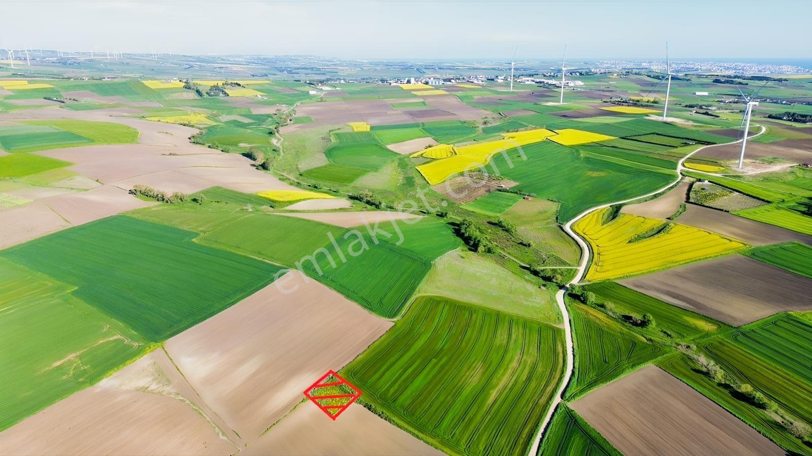 Fenerköyde 568 Metre Etrafı Çevrili Hissemiz Satışta - Görsel 19