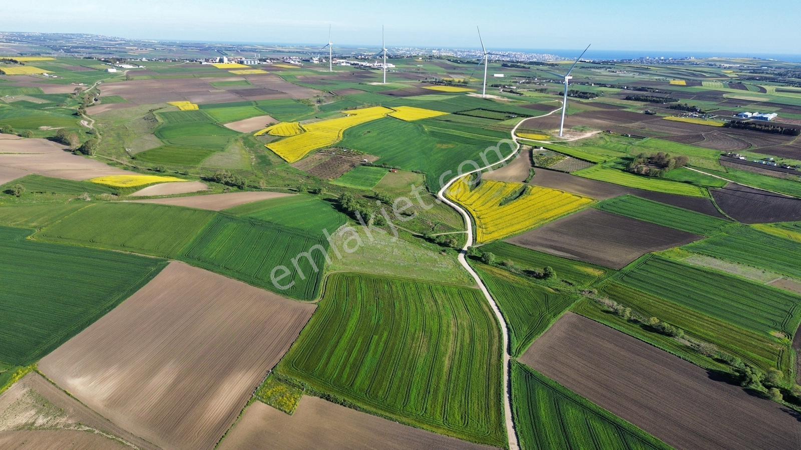 Fenerköyde 568 Metre Etrafı Çevrili Hissemiz Satışta - Görsel 15