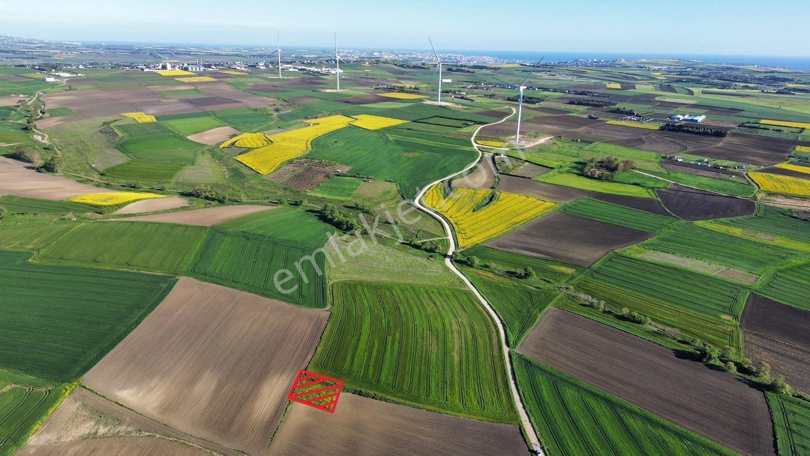 Fenerköyde 568 Metre Etrafı Çevrili Hissemiz Satışta - Görsel 11